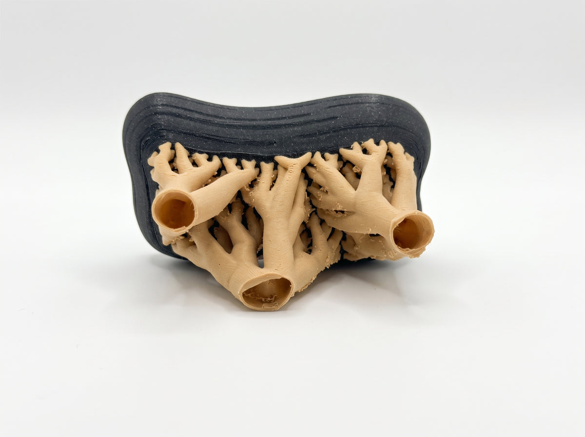 Organic Form Decorative Tray with Branch-Inspired Base